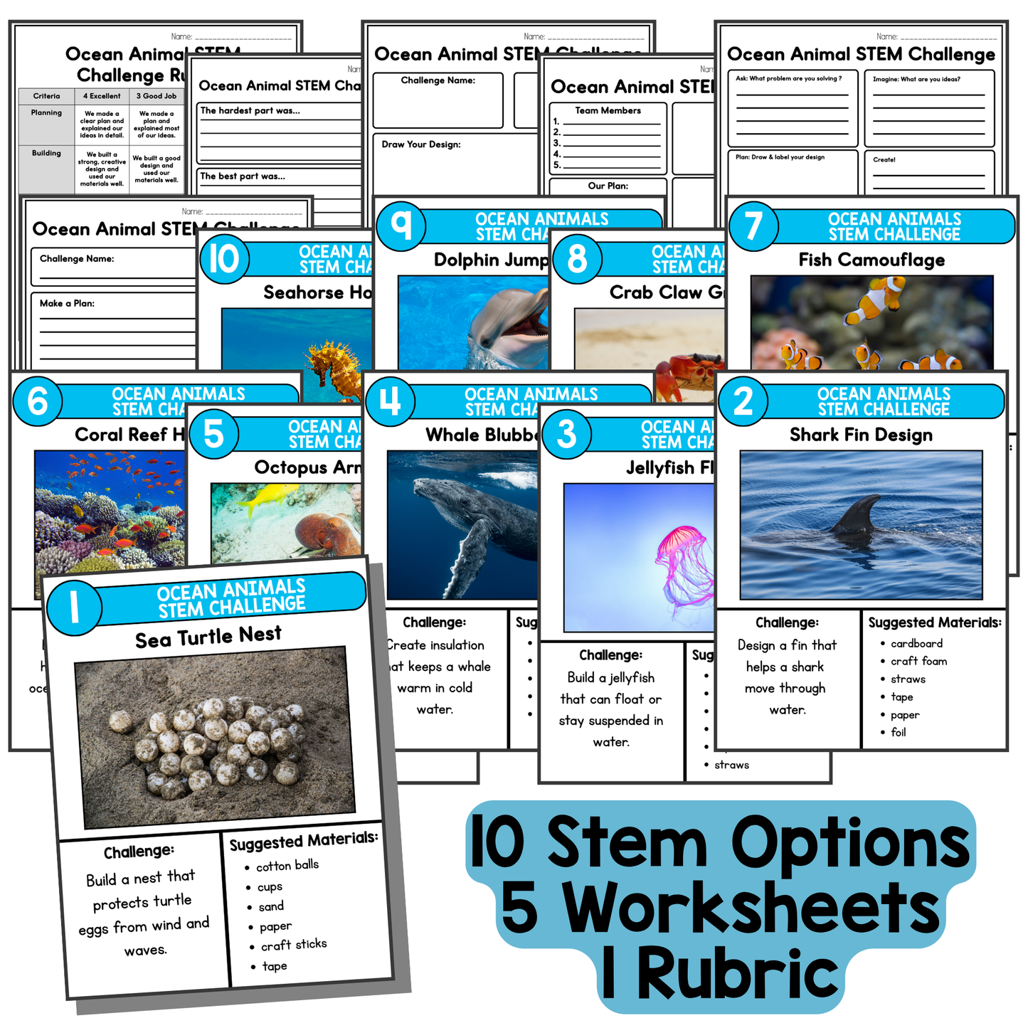 Ocean Animal STEM Challenges