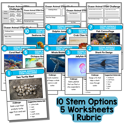 Ocean Animal STEM Challenges