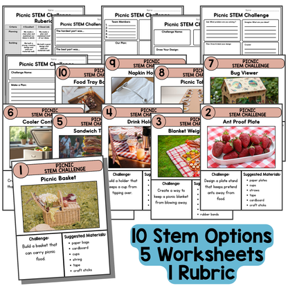 Picnic STEM Challenges