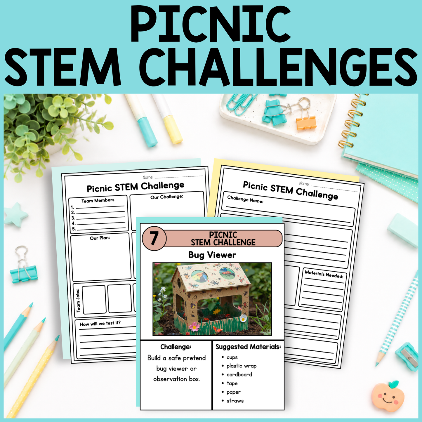 Picnic STEM Challenges