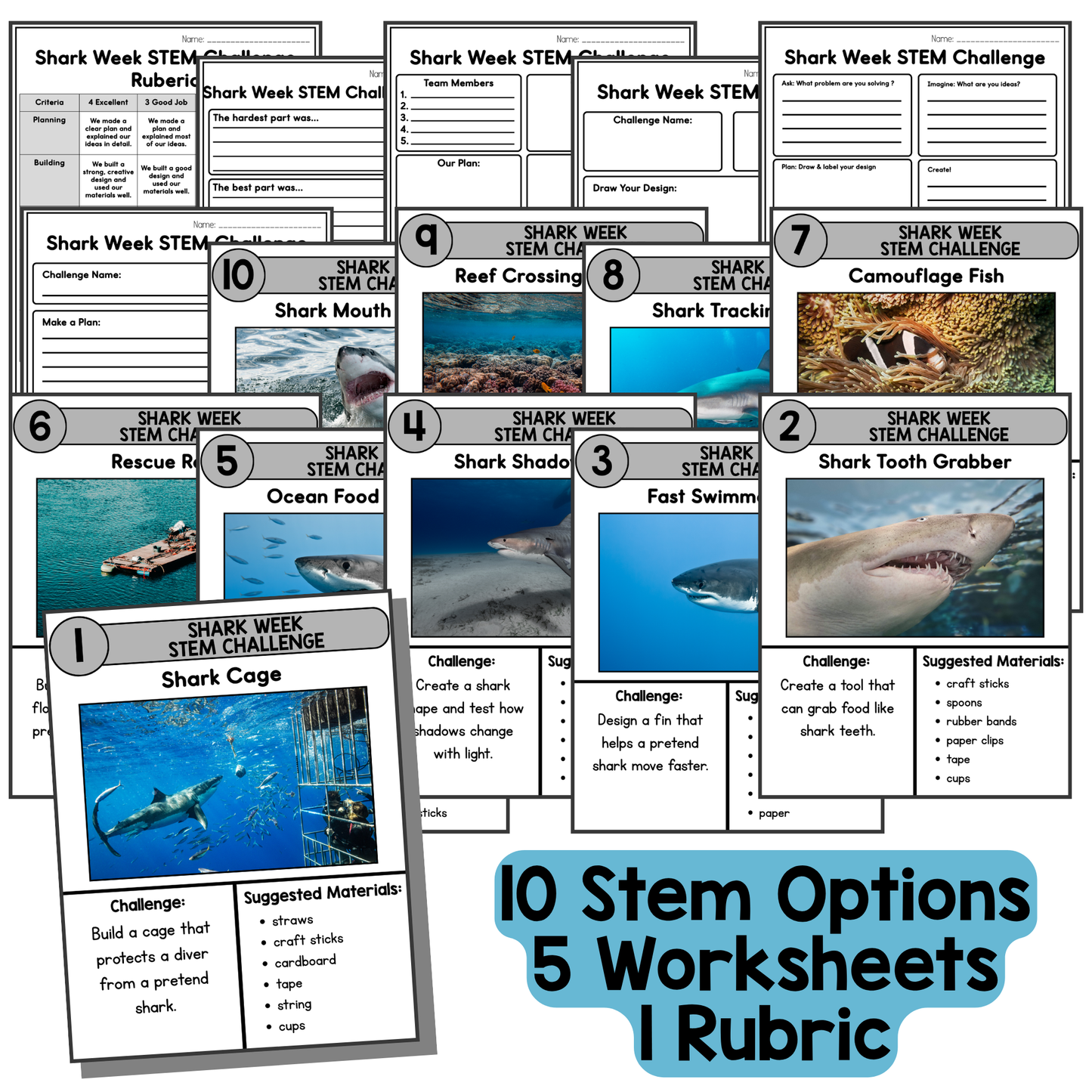 Shark Week STEM Challenges